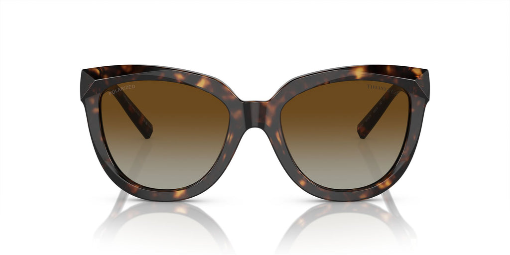 Tiffany 0TF4215F 8015T5 53 Havana / Polar Brown Gradient  Polarised