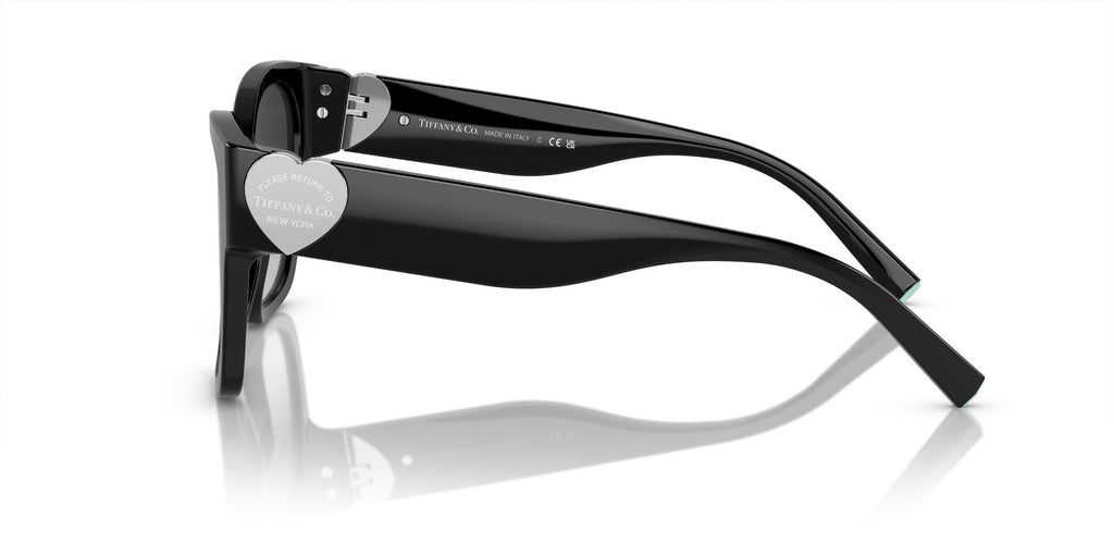 Tiffany 0TF4216 80013C 54 Black / Grey Gradient