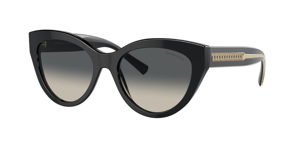 Tiffany 0TF4220F 800171 54 Black / Grey Gradient