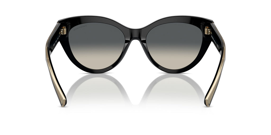 Tiffany 0TF4220F 800171 54 Black / Grey Gradient