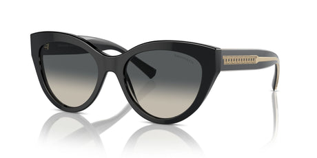 Tiffany 0TF4220F 800171 54 Black / Grey Gradient