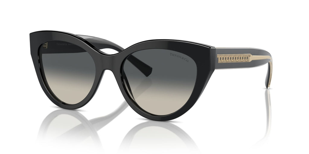 Tiffany 0TF4220F 800171 54 Black / Grey Gradient
