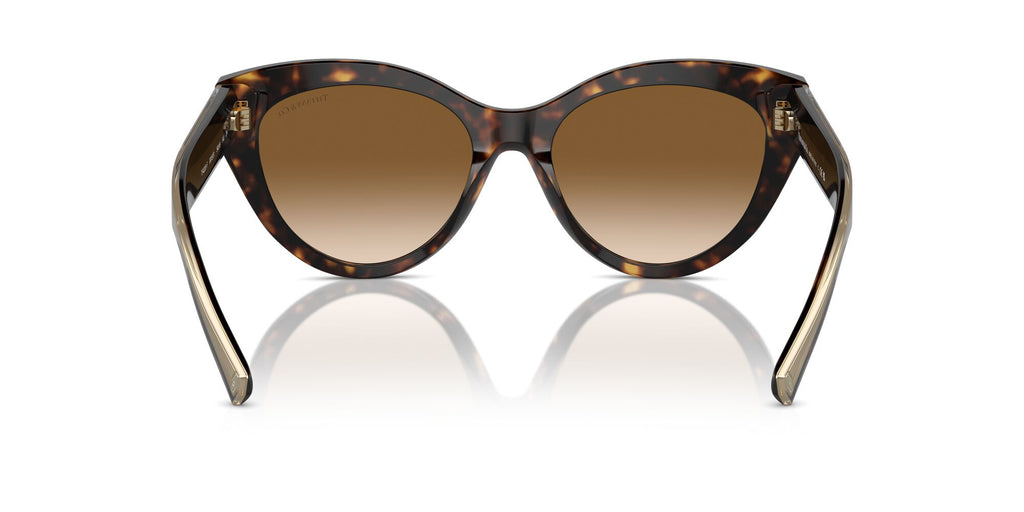 Tiffany 0TF4220F 801551 54 Havana / Clear Gradient Brown