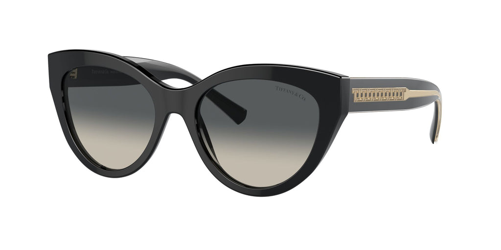 Tiffany 0TF4220 800171 54 Black / Grey Gradient
