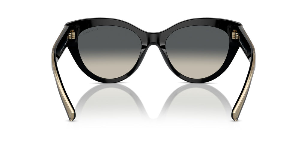 Tiffany 0TF4220 800171 54 Black / Grey Gradient
