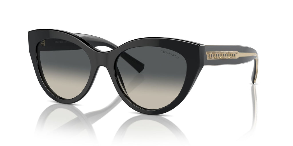 Tiffany 0TF4220 800171 54 Black / Grey Gradient