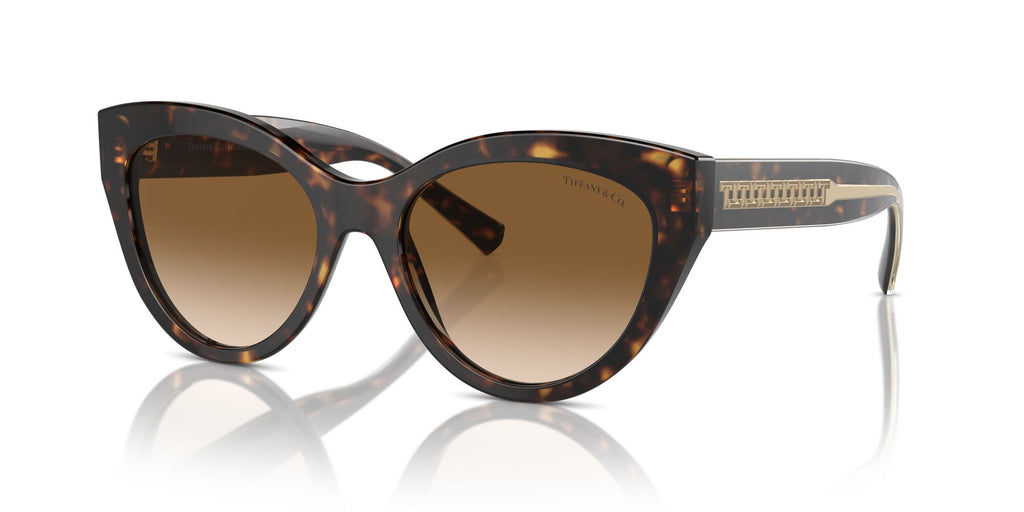 Tiffany 0TF4220 801551 54 Havana / Clear Gradient Brown