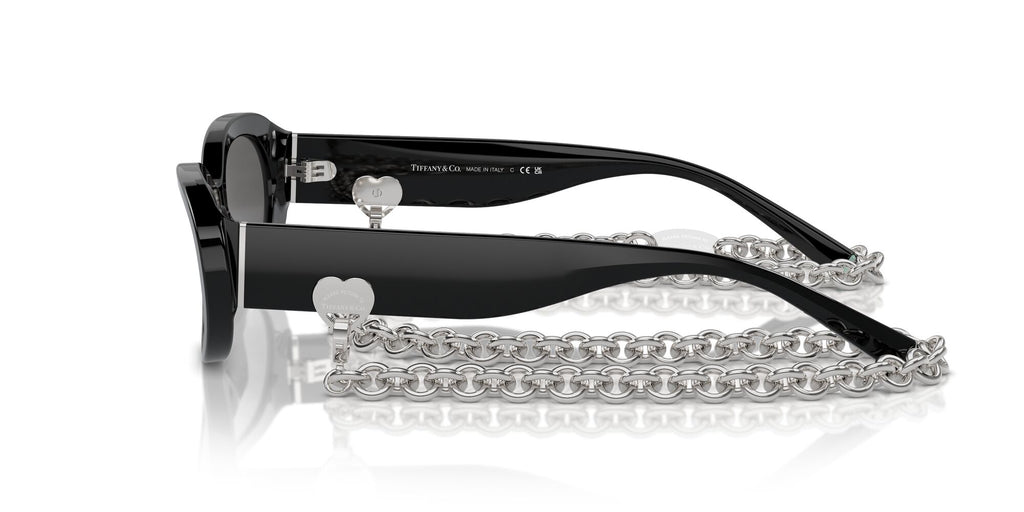 Tiffany 0TF4221F 8001S4 54 Black / Dark Grey