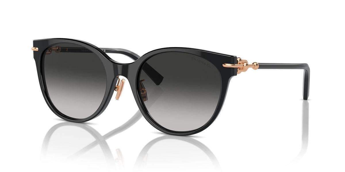 Tiffany 0TF4223D 80013C 54 Black / Grey Gradient