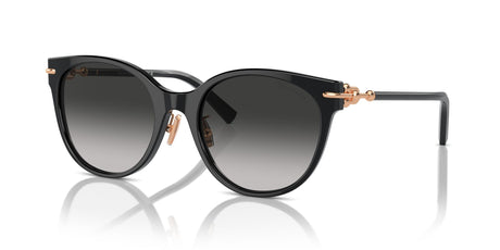 Tiffany 0TF4223D 80013C 54 Black / Grey Gradient