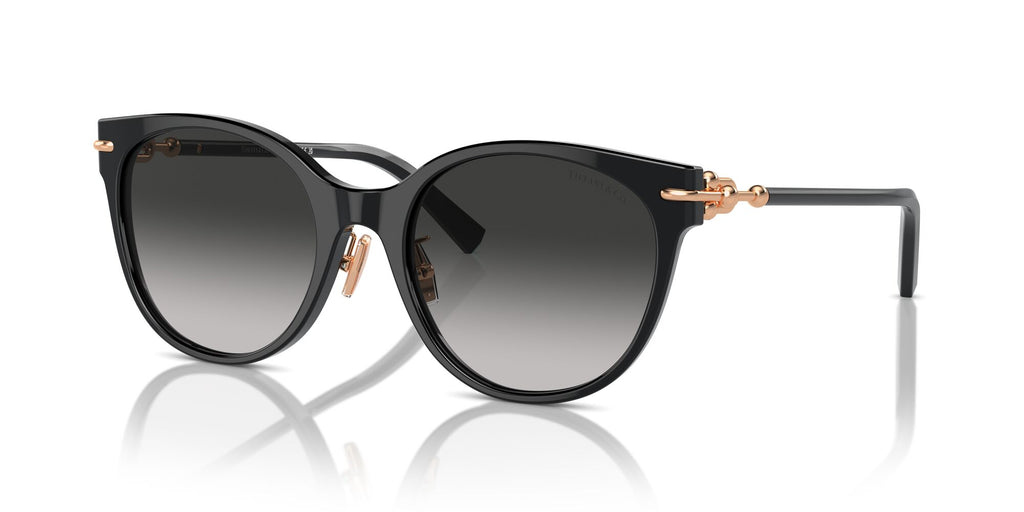 Tiffany 0TF4223D 80013C 54 Black / Grey Gradient