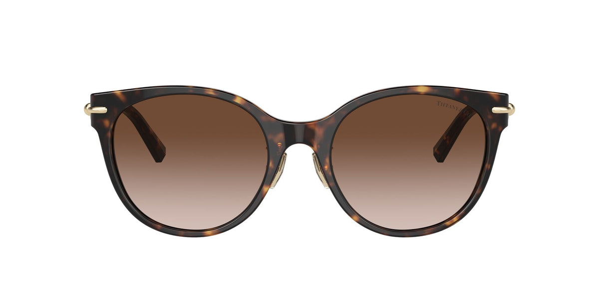 Tiffany 0TF4223D 80153B 54 Havana / Brown Gradient