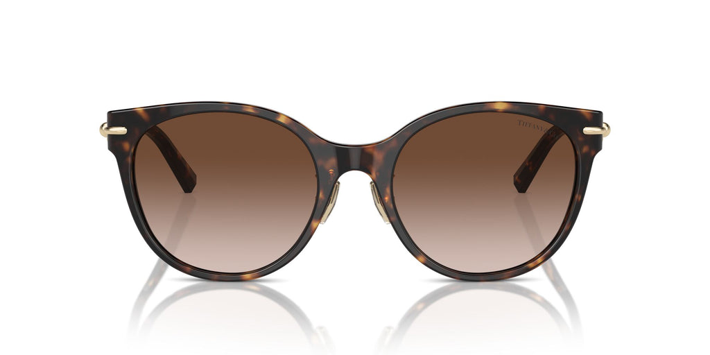 Tiffany 0TF4223D 80153B 54 Havana / Brown Gradient