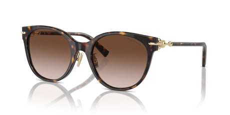 Tiffany 0TF4223D 80153B 54 Havana / Brown Gradient