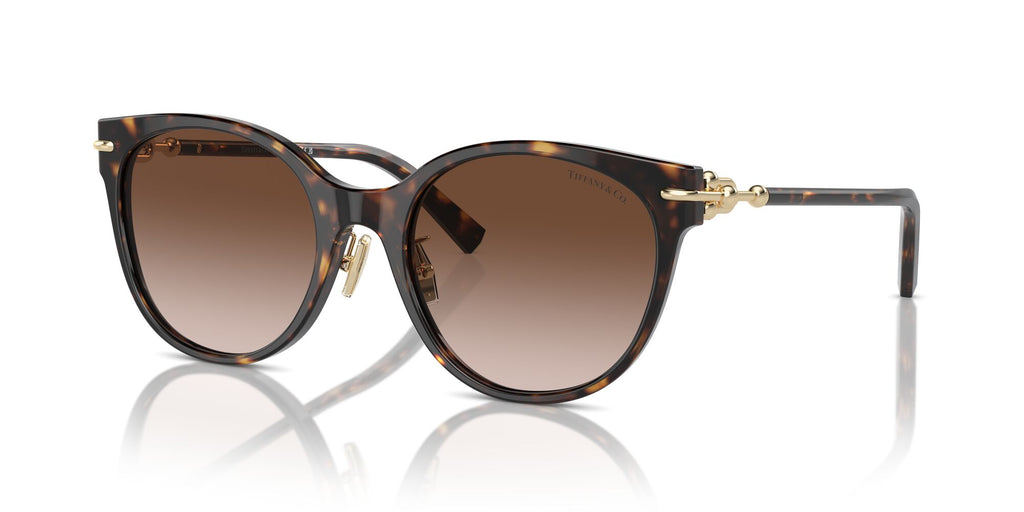 Tiffany 0TF4223D 80153B 54 Havana / Brown Gradient