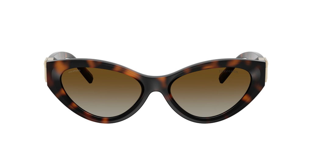 Tiffany 0TF4225U 8015T5 54 Havana / Polar Brown Gradient  Polarised