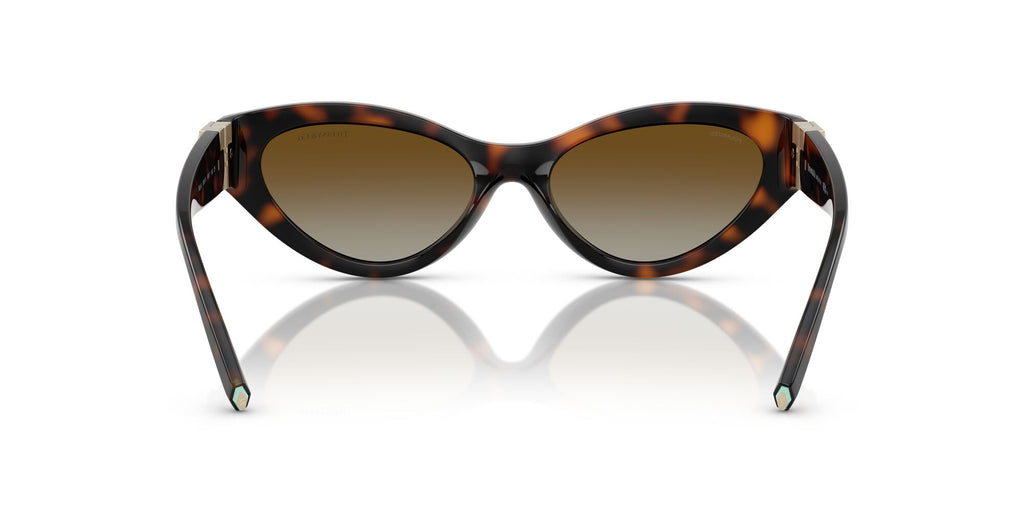 Tiffany 0TF4225U 8015T5 54 Havana / Polar Brown Gradient  Polarised
