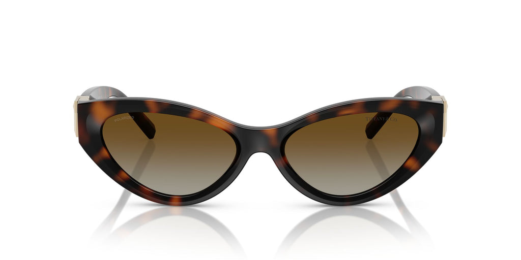Tiffany 0TF4225U 8015T5 54 Havana / Polar Brown Gradient  Polarised