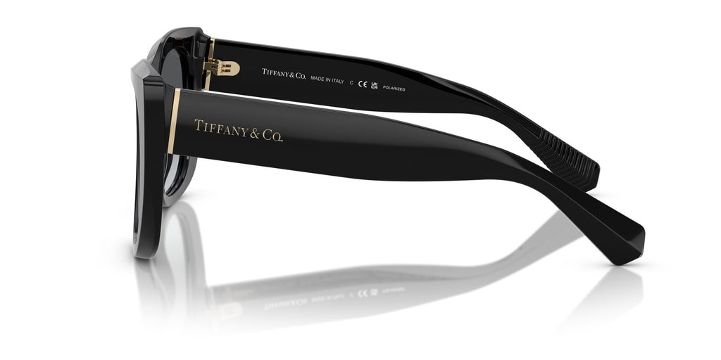 Tiffany 0TF4229F 8001T3 55 Black / Polar Grey Gradient  Polarised