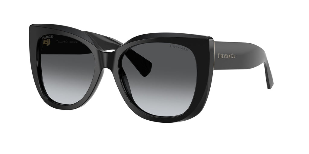 Tiffany 0TF4229 8001T3 55 Black / Polar Grey Gradient  Polarised