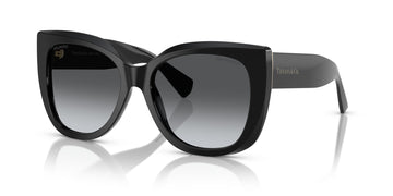 Tiffany 0TF4229 8001T3 55 Black / Polar Grey Gradient  Polarised