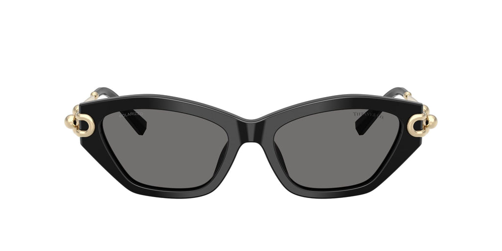 Tiffany 0TF4231U 800181 53 Black / Dark Grey Polar  Polarised