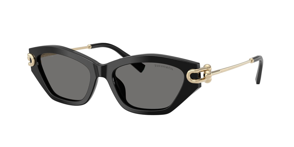 Tiffany 0TF4231U 800181 53 Black / Dark Grey Polar  Polarised