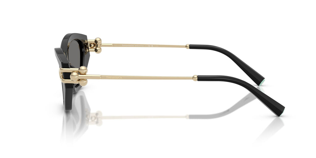 Tiffany 0TF4231U 800181 53 Black / Dark Grey Polar  Polarised