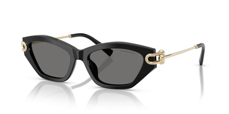 Tiffany 0TF4231U 800181 53 Black / Dark Grey Polar  Polarised