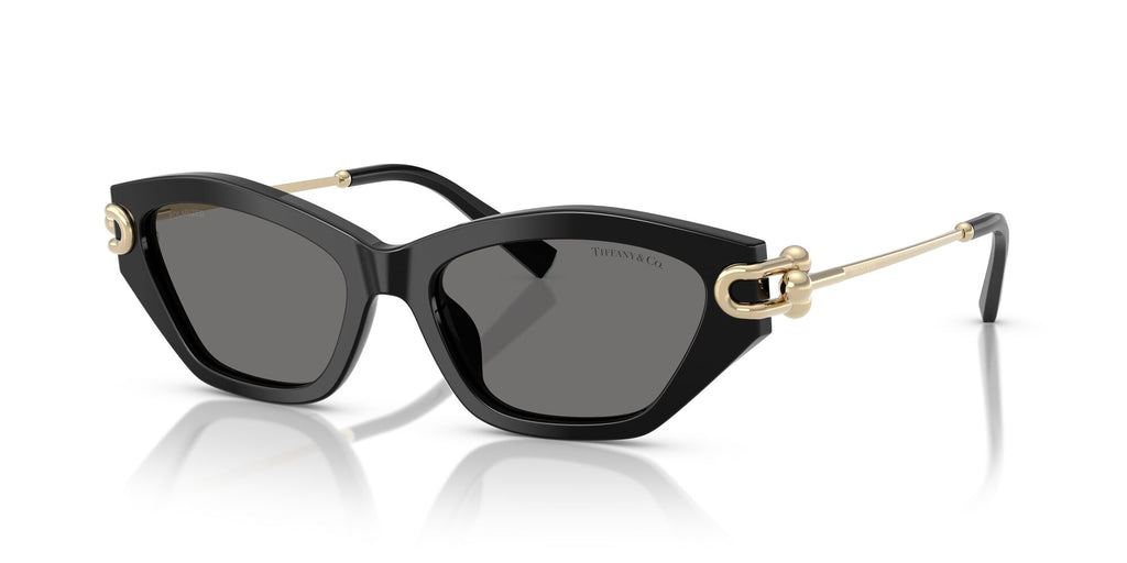 Tiffany 0TF4231U 800181 53 Black / Dark Grey Polar  Polarised