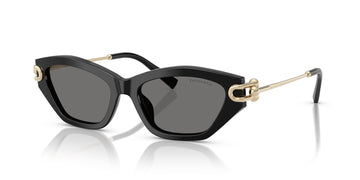 Tiffany 0TF4231U 800181 53 Black / Dark Grey Polar  Polarised