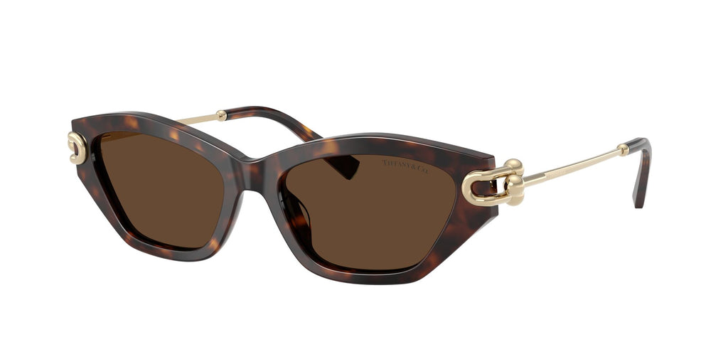 Tiffany 0TF4231U 80153G 53 Havana / Light Brown