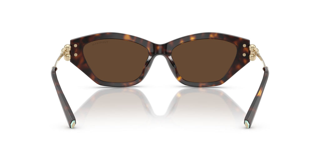 Tiffany 0TF4231U 80153G 53 Havana / Light Brown