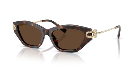 Tiffany 0TF4231U 80153G 53 Havana / Light Brown