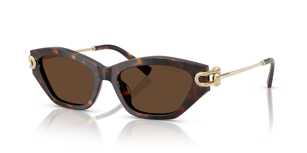 Tiffany 0TF4231U 80153G 53 Havana / Light Brown