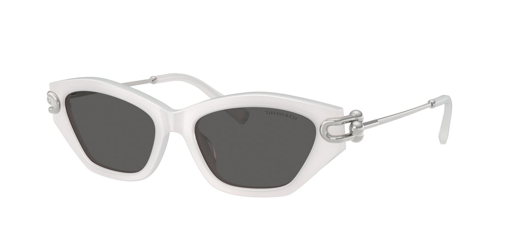 Tiffany 0TF4231U 8437S4 53 Frosted Star White / Dark Grey