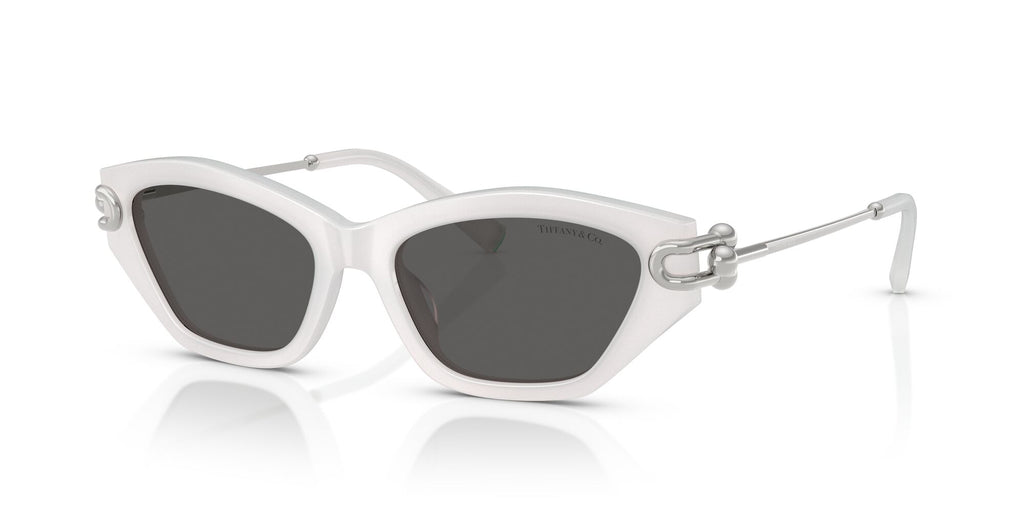 Tiffany 0TF4231U 8437S4 53 Frosted Star White / Dark Grey