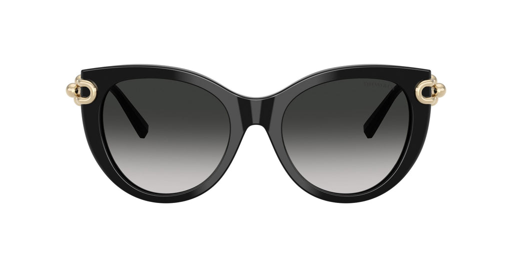 Tiffany 0TF4232 80013C 53 Black / Gray Gradient