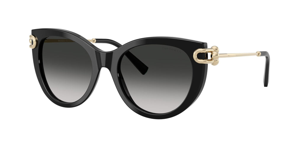 Tiffany 0TF4232 80013C 53 Black / Gray Gradient
