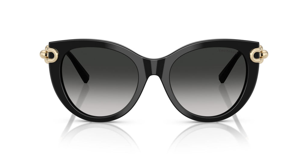 Tiffany 0TF4232 80013C 53 Black / Gray Gradient