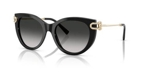 Tiffany 0TF4232 80013C 53 Black / Gray Gradient