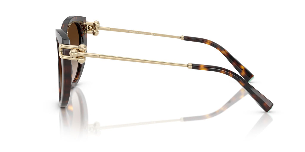 Tiffany 0TF4232 80153B 53 Havana / Brown Gradient