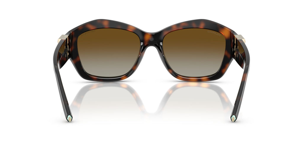 Tiffany 0TF4233U 8015T5 54 Havana / Polar Brown Gradient  Polarised
