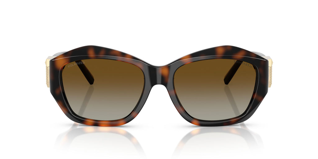Tiffany 0TF4233U 8015T5 54 Havana / Polar Brown Gradient  Polarised