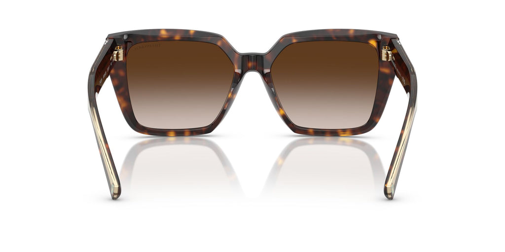 Tiffany 0TF4235 80153B 55 Havana / Brown Gradient
