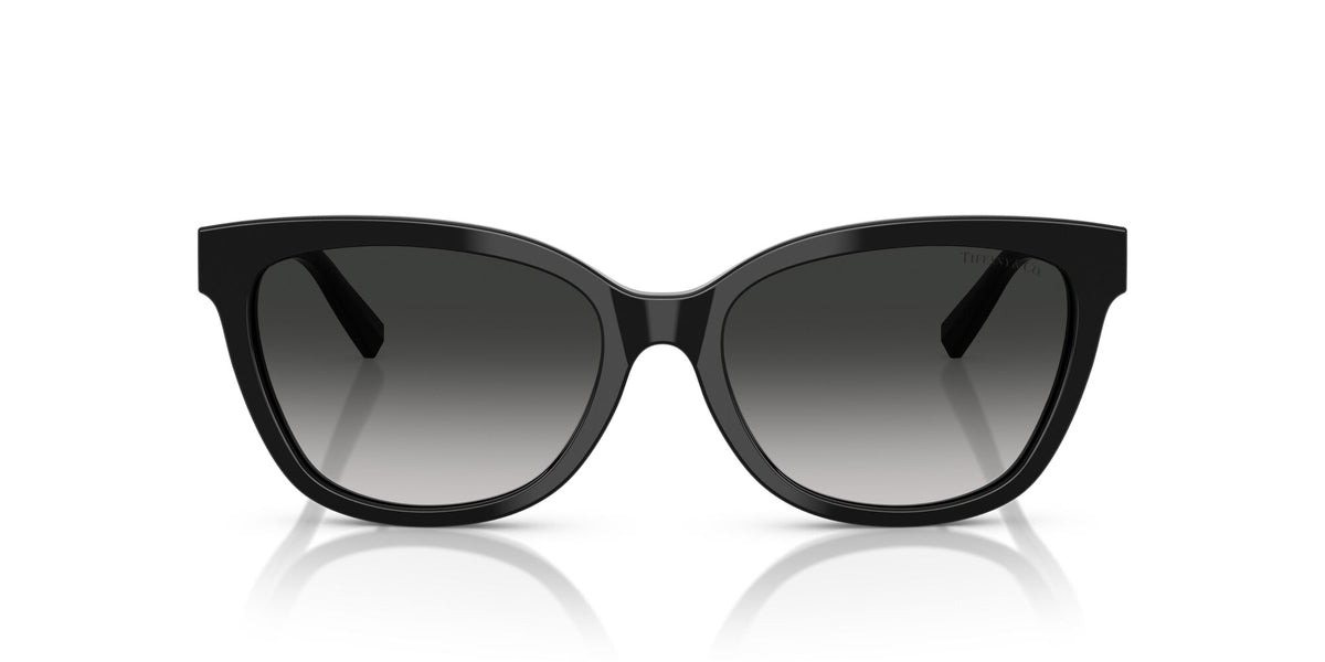 Tiffany 0TF4237BF 80013C 55 Black / Grey Gradient