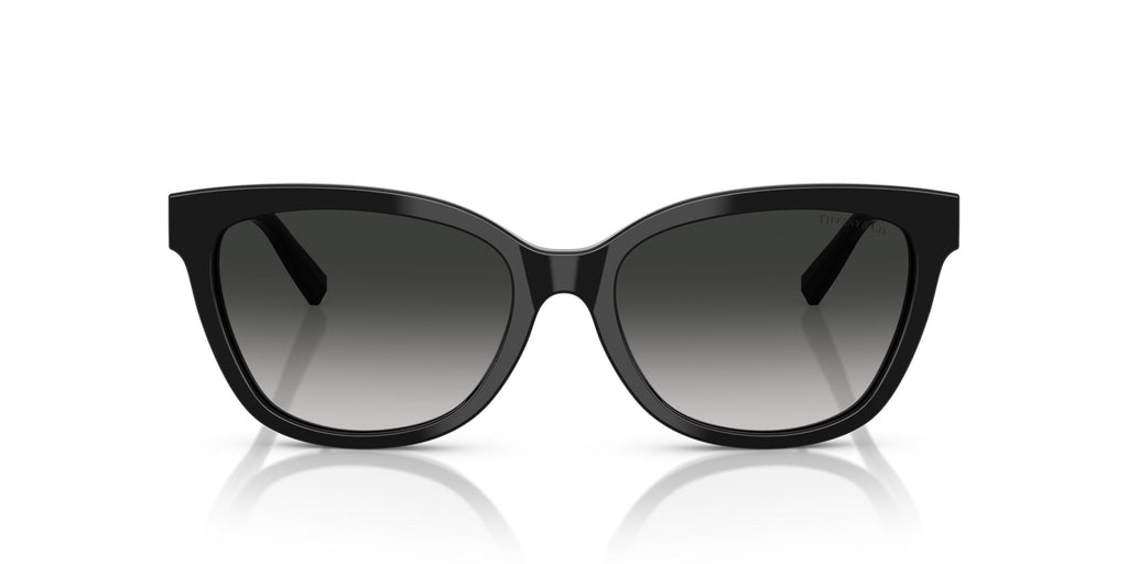 Tiffany 0TF4237BF 80013C 55 Black / Grey Gradient