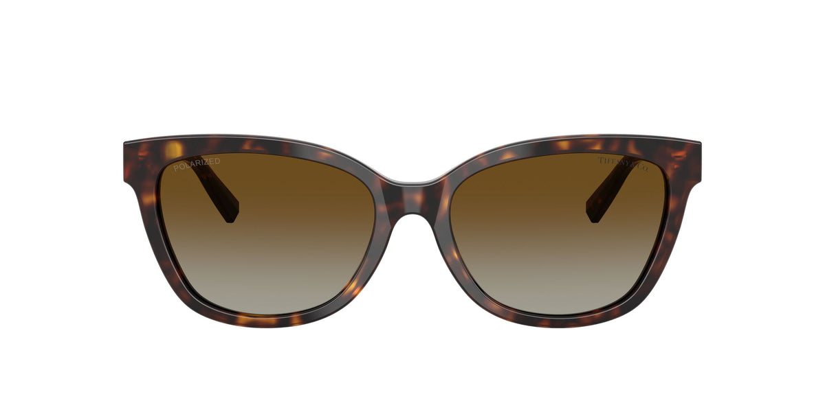 Tiffany 0TF4237BF 8015T5 55 Havana / Polar Brown Gradient  Polarised