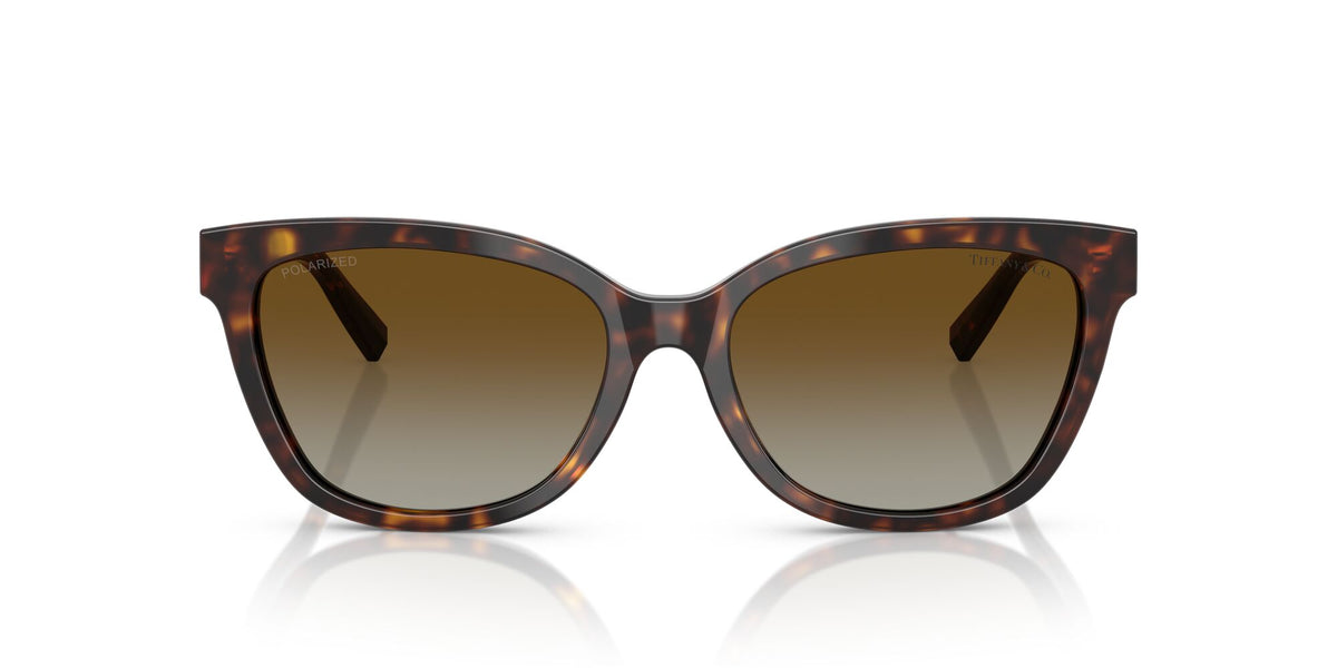 Tiffany 0TF4237BF 8015T5 55 Havana / Polar Brown Gradient  Polarised