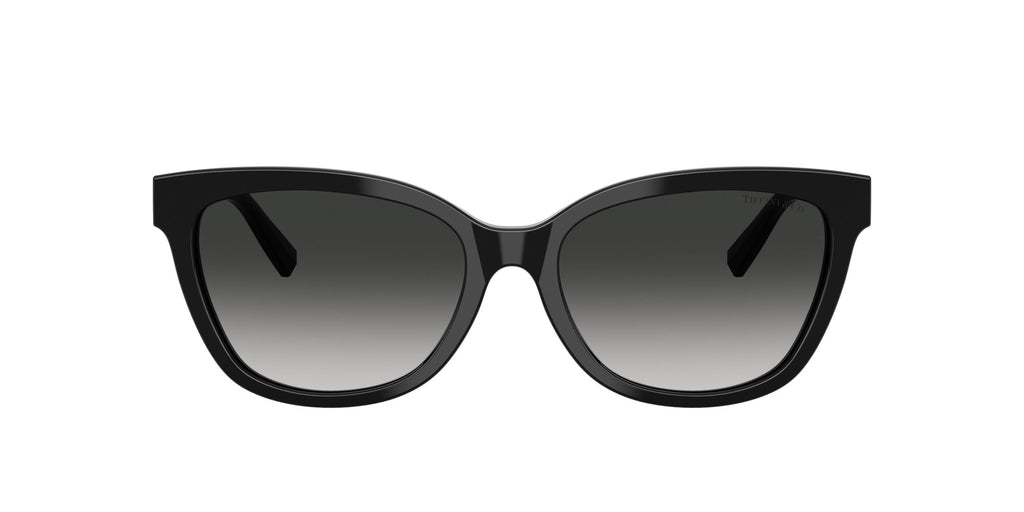 Tiffany 0TF4237B 80013C 55 Black / Grey Gradient